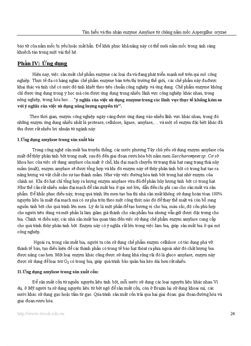 image for page Công nghệ Protein và enzyme Tìm hiểu và thu nhận enzyme amylase từ chủng nấm mốc Aspergillus oryzae