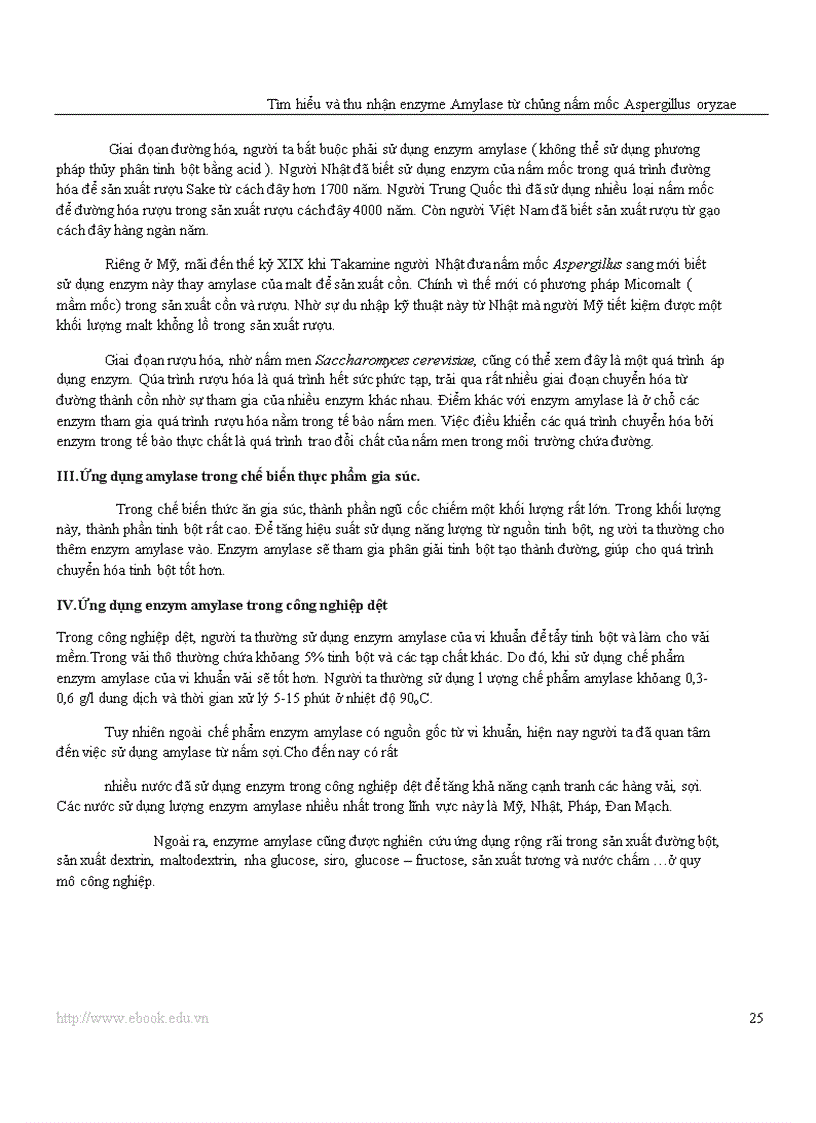 image for page Công nghệ Protein và enzyme Tìm hiểu và thu nhận enzyme amylase từ chủng nấm mốc Aspergillus oryzae