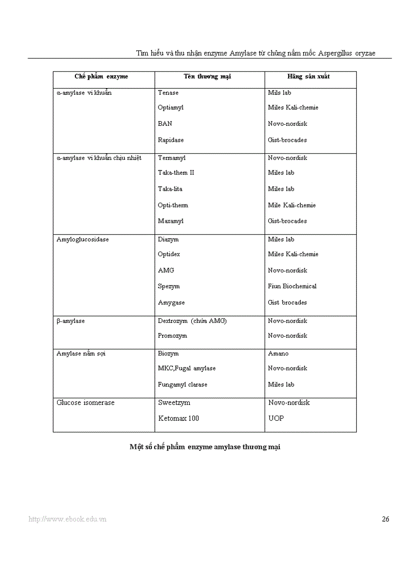 image for page Công nghệ Protein và enzyme Tìm hiểu và thu nhận enzyme amylase từ chủng nấm mốc Aspergillus oryzae