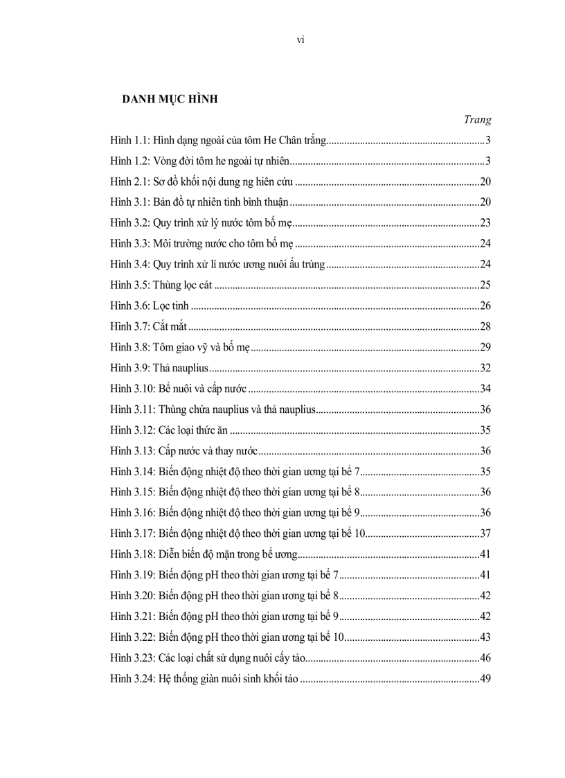 image for page Tìm hiểu quy trình sản xuất giống tôm He Chân trắng Penaeus vannamei Boone 1931 tại vĩnh tân tuy phong bình thuận