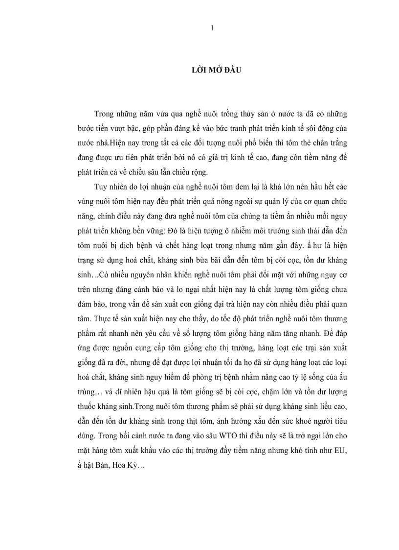 image for page Tìm hiểu quy trình sản xuất giống tôm He Chân trắng Penaeus vannamei Boone 1931 tại vĩnh tân tuy phong bình thuận