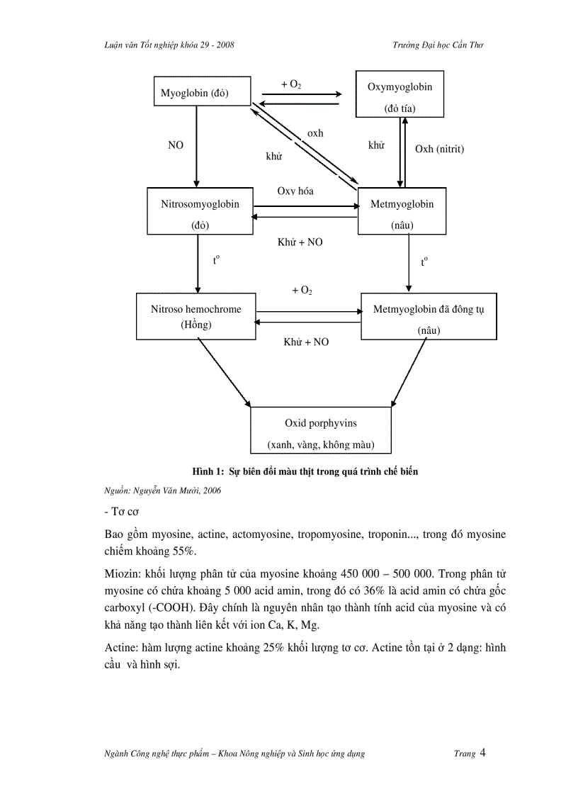 image for page Khảo sát hàn the và chất lượng thực tế của chả lụa trên địa bàn tỉnh Trà Vinh