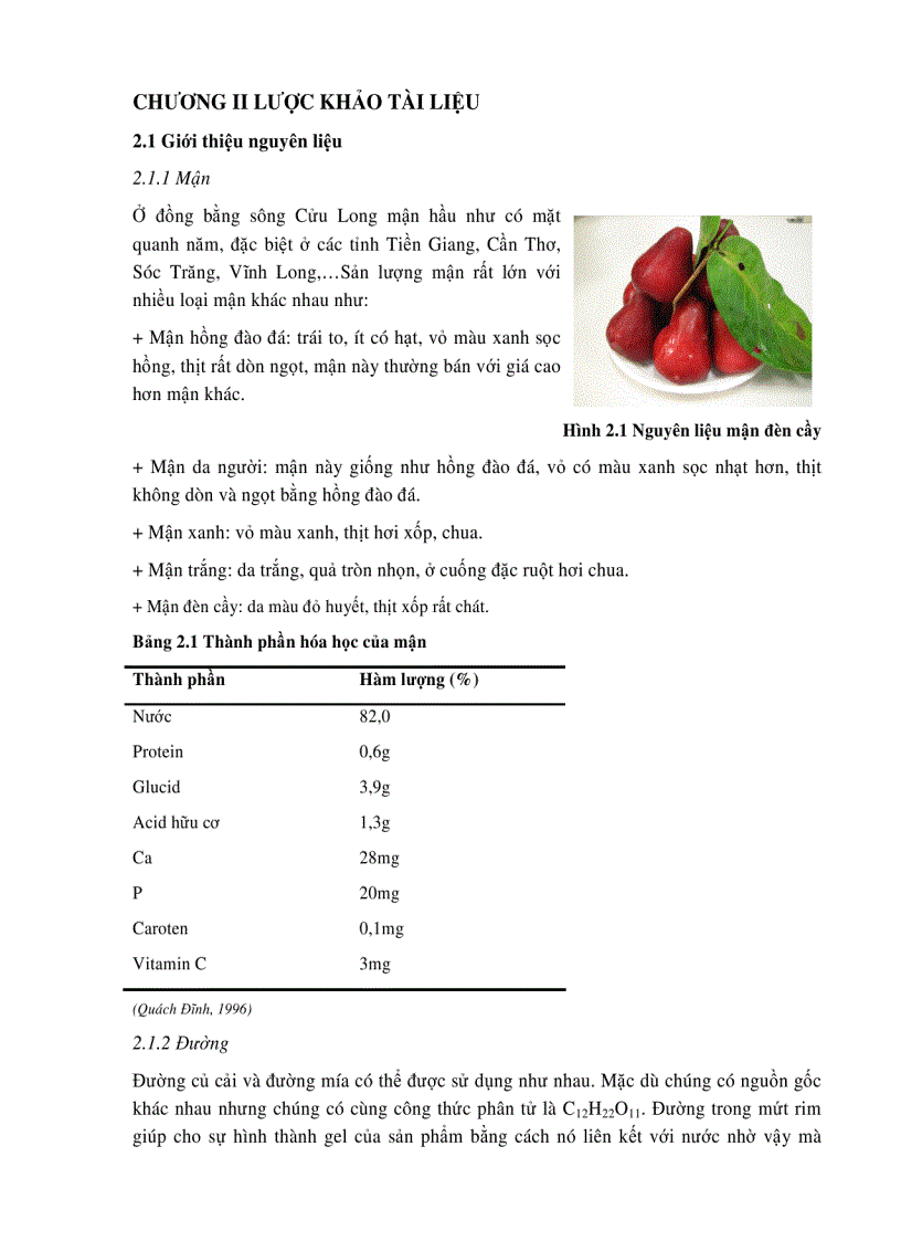 image for page Nghiên cứu quy trình chế biến mứt mận