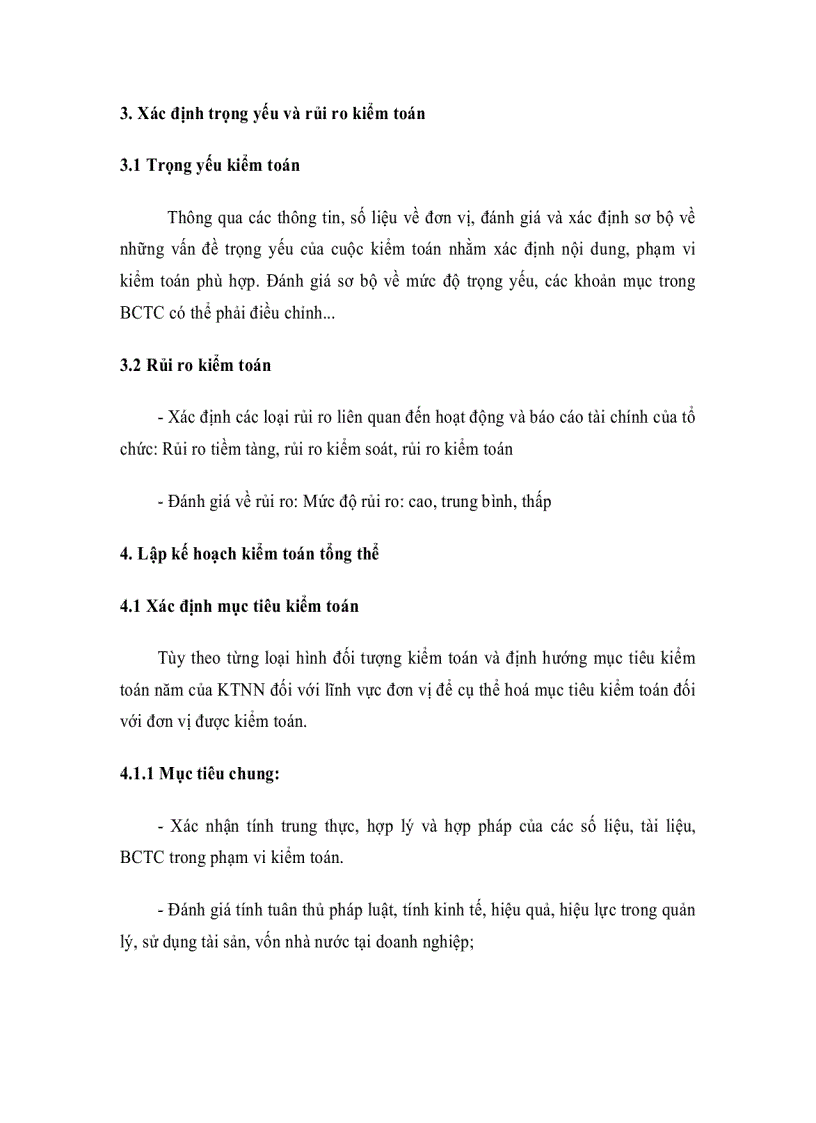 image for page Quy trình kiểm toán P