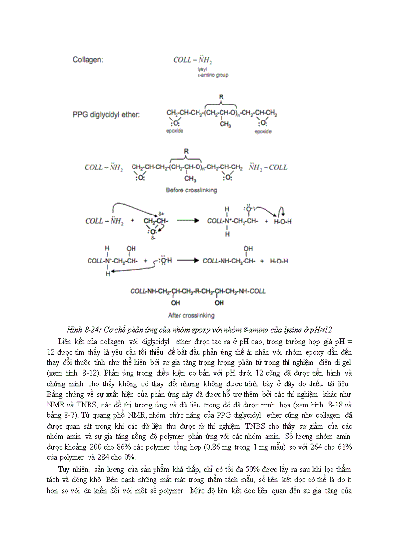 image for page Trích ly Collagen và ứng dụng