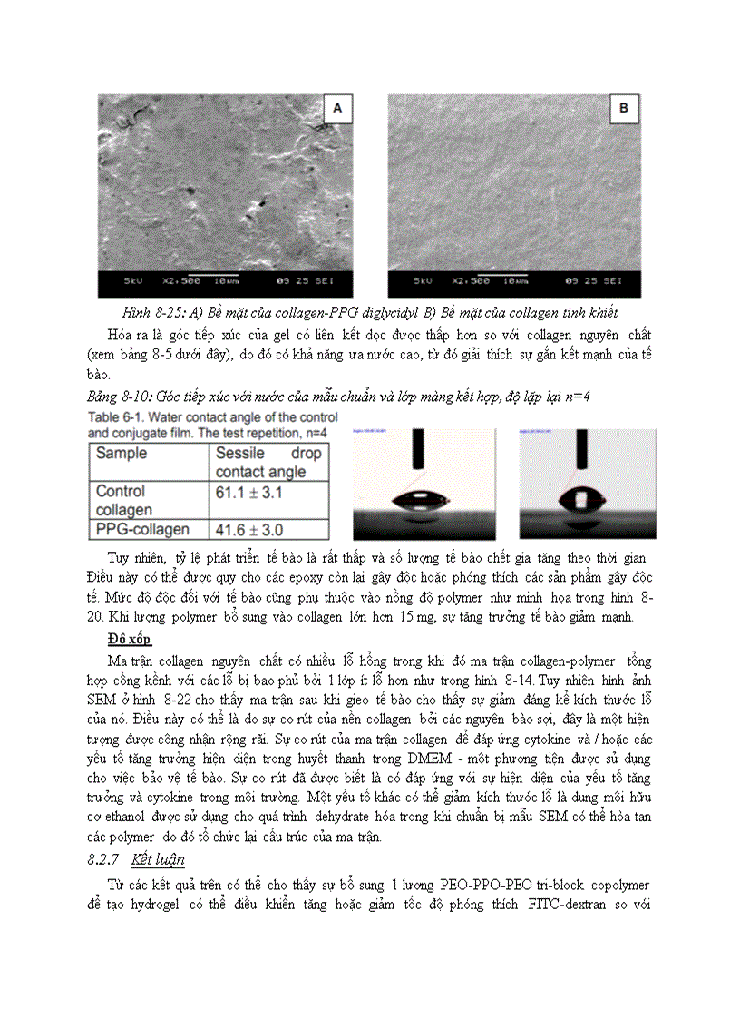 image for page Trích ly Collagen và ứng dụng