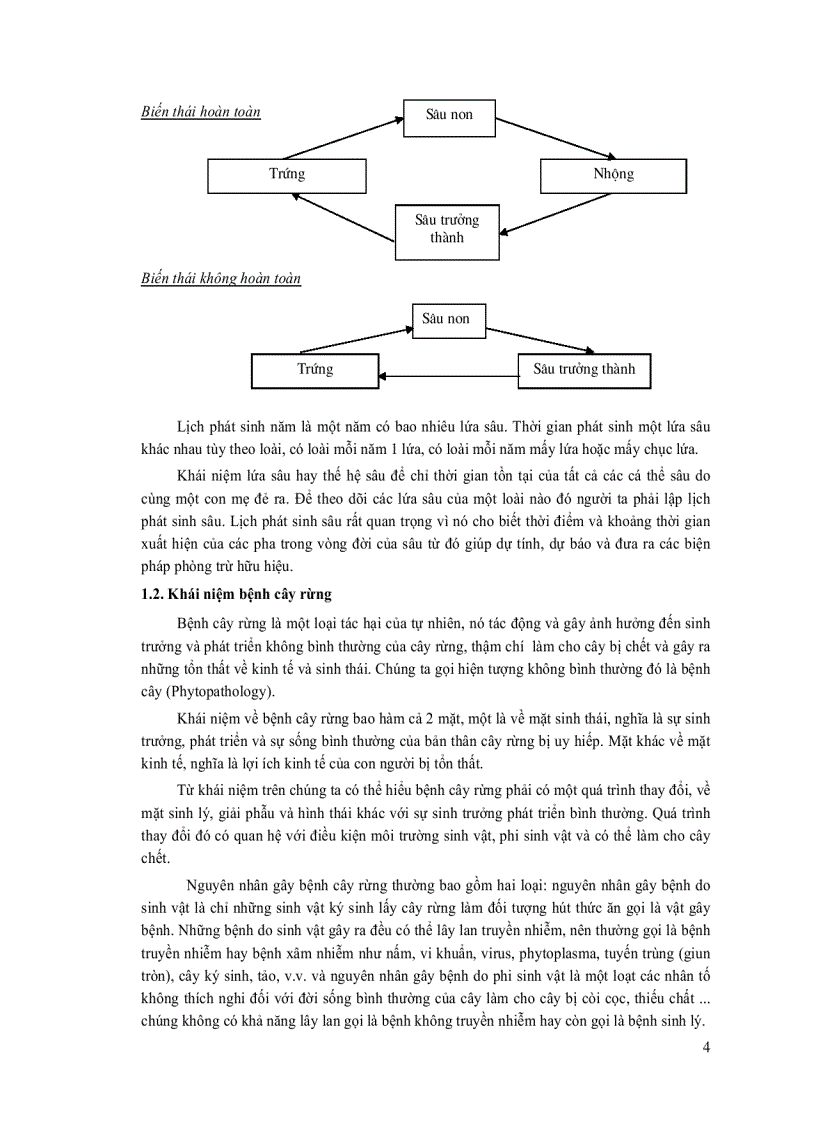 image for page Quản lý sâu bệnh hại rừng trồng