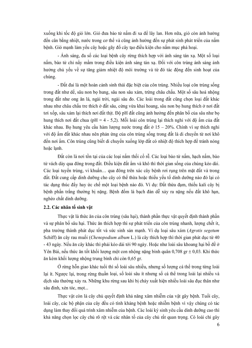 image for page Quản lý sâu bệnh hại rừng trồng