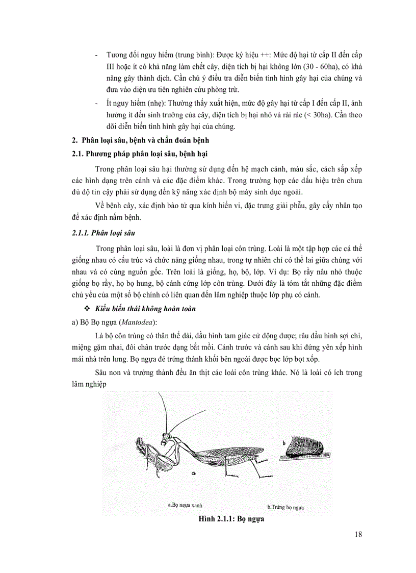 image for page Quản lý sâu bệnh hại rừng trồng