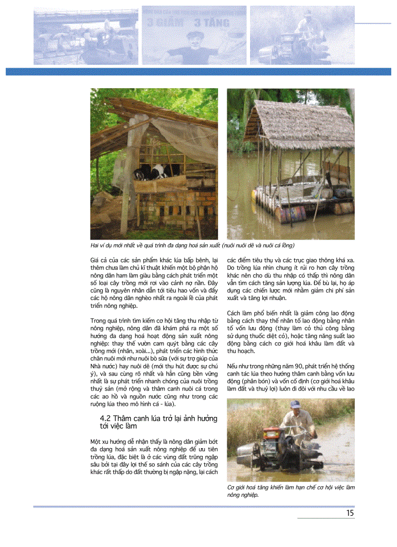 image for page Tăng trưởng kinh tế và xóa đói giảm nghèo ở Việt Nam Huyện Ô Môn Đồng bằng sông Cửu Long