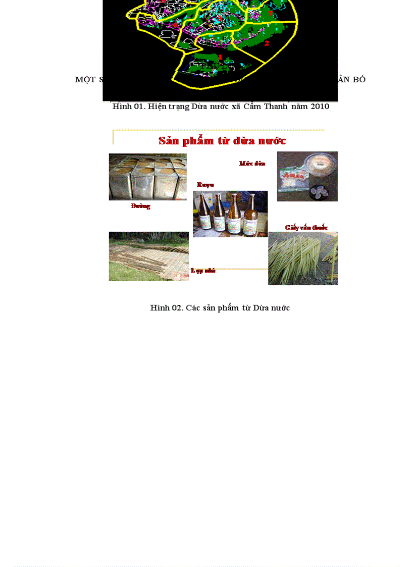 image for page Nghiên cứu hiện trạng phân bố và đặc điểm sinh thái học của loài cây Dừa nước Nypa fruticans Wurmb tại khu vực Trung Trung bộ