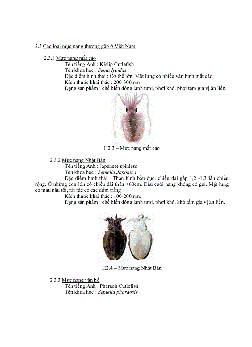 image for page Xây dựng mô hình toán học và giải bài toán truyền nhiệt không ổn định áp chảo philê mực tươi