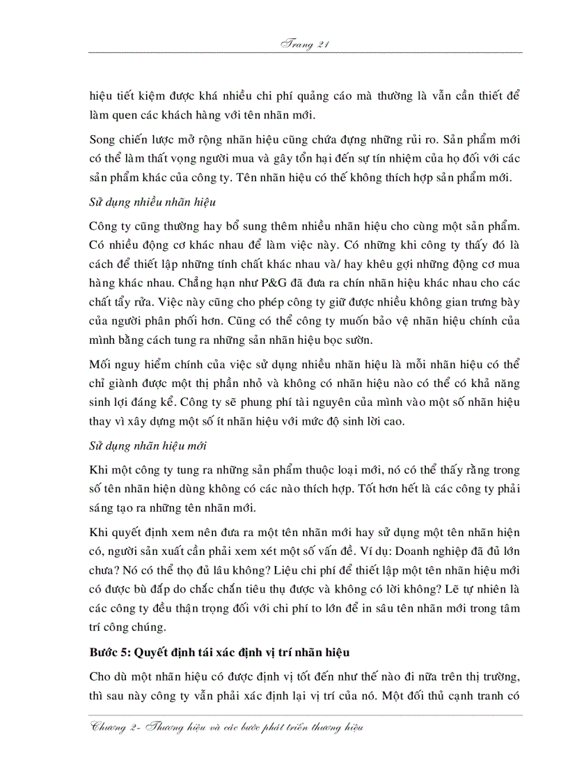 image for page Xây dựng các bước phát triển thương hiệu của sản phẩm cho công ty Palace ở thị trường Việt Nam