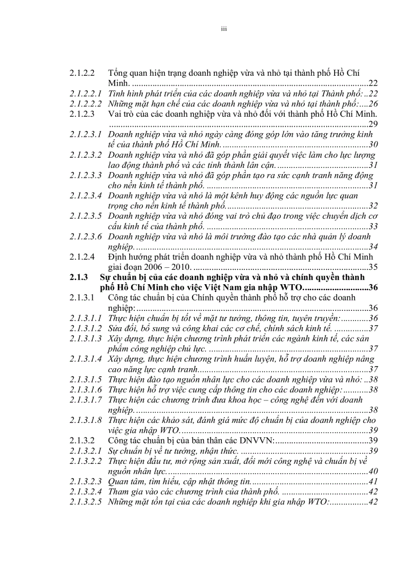 image for page Những tác động đến doanh nghiệp vừa và nhỏ trên địa bàn thành phố Hồ Chí Minh trong 5 năm đầu tiên sau khi Việt Nam gia nhập WTO