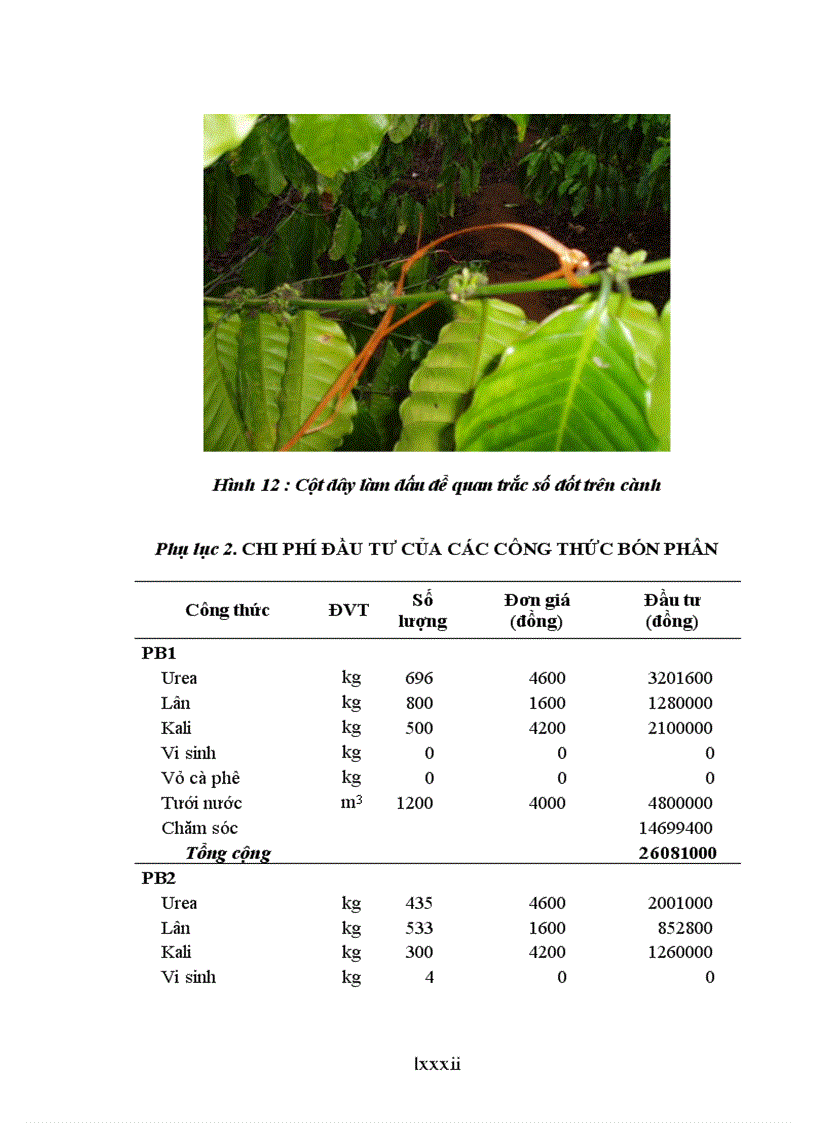 image for page Luận văn thạc sỹ Nghiên cứu ảnh hưởng của một số công thức bón phân đến sinh trưởng phát triển và năng suất cà phê vối trong điều kiện có che bóng và không che bóng tại DakLak