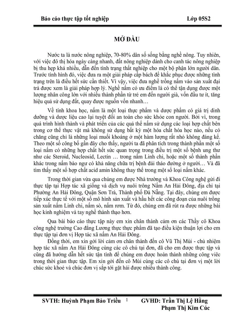 image for page Thực tập tốt nghiệp Mô hình sản xuất nấm linh chi nấm sò nấm rơm tại Hợp tác xã giống và dịch vụ nuôi trồng nấm An Hải Đônga