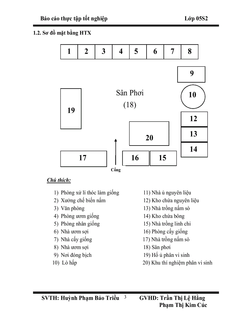 image for page Thực tập tốt nghiệp Mô hình sản xuất nấm linh chi nấm sò nấm rơm tại Hợp tác xã giống và dịch vụ nuôi trồng nấm An Hải Đônga