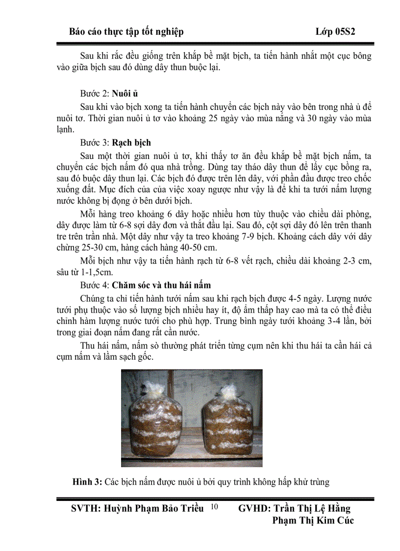 image for page Thực tập tốt nghiệp Mô hình sản xuất nấm linh chi nấm sò nấm rơm tại Hợp tác xã giống và dịch vụ nuôi trồng nấm An Hải Đônga