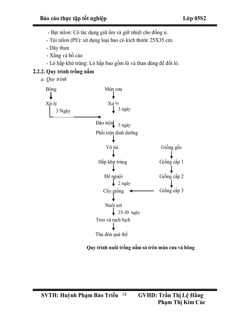 image for page Thực tập tốt nghiệp Mô hình sản xuất nấm linh chi nấm sò nấm rơm tại Hợp tác xã giống và dịch vụ nuôi trồng nấm An Hải Đônga