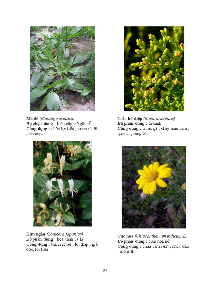 image for page Báo cáo thực tập tại Trạm Y Tế Phường 8 Quận Phú Nhuận Thành Phố Hồ Chí Minh