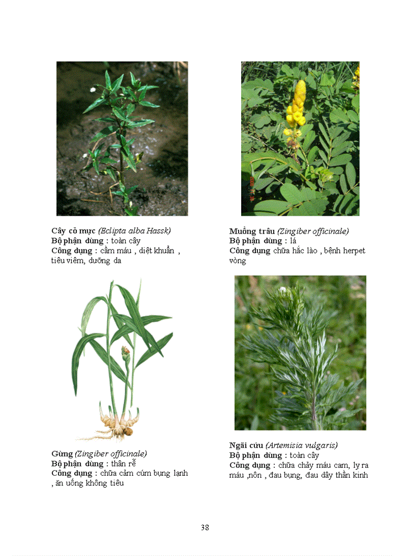 image for page Báo cáo thực tập tại Trạm Y Tế Phường 8 Quận Phú Nhuận Thành Phố Hồ Chí Minh