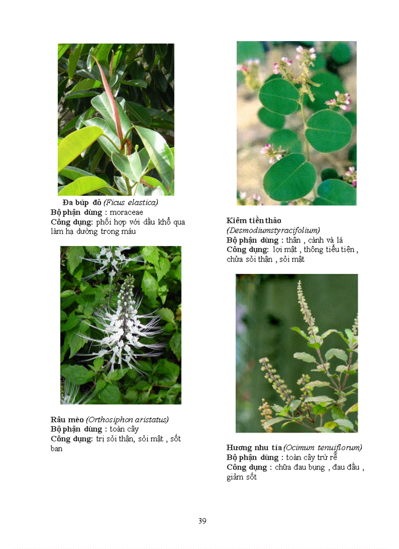 image for page Báo cáo thực tập tại Trạm Y Tế Phường 8 Quận Phú Nhuận Thành Phố Hồ Chí Minh