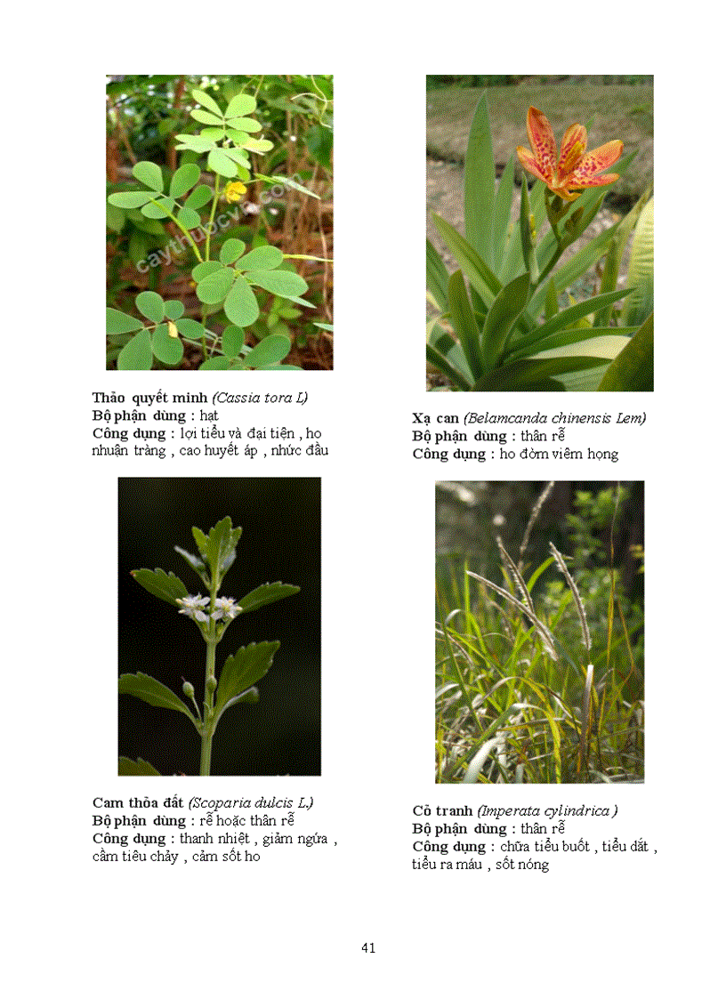 image for page Báo cáo thực tập tại Trạm Y Tế Phường 8 Quận Phú Nhuận Thành Phố Hồ Chí Minh