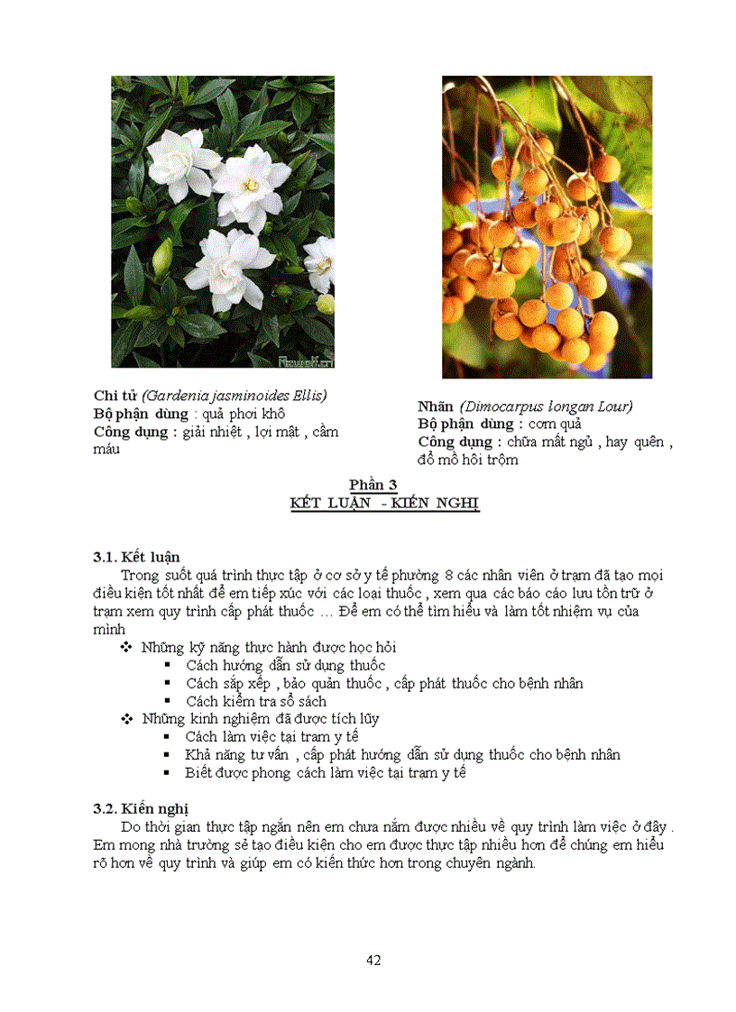 image for page Báo cáo thực tập tại Trạm Y Tế Phường 8 Quận Phú Nhuận Thành Phố Hồ Chí Minh