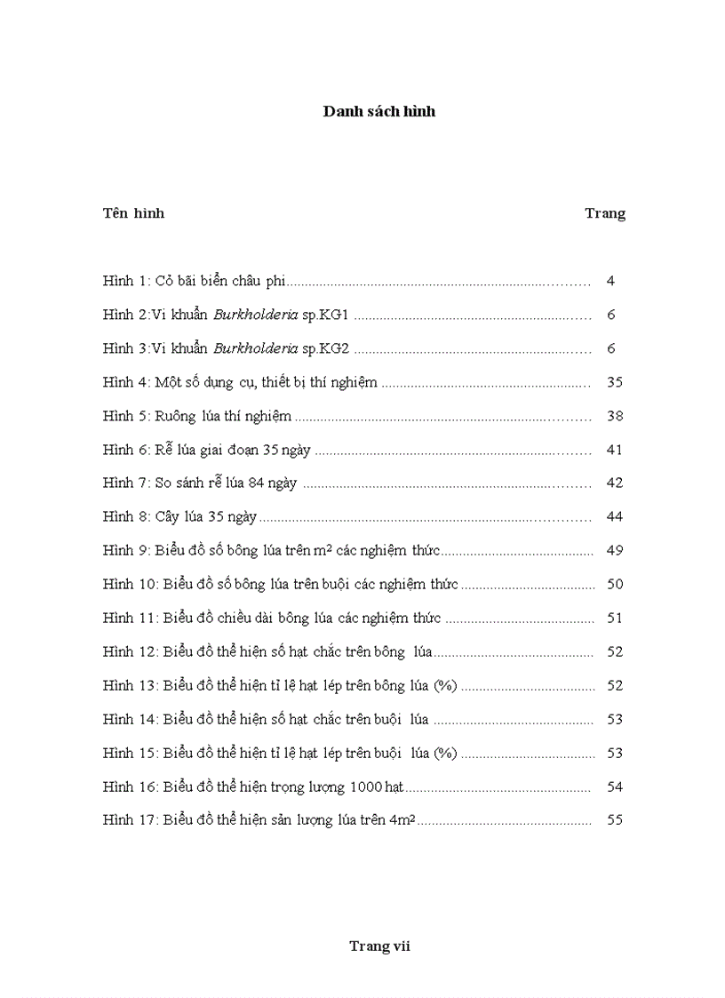 image for page Hiệu quả của vi khuẩn cố định đạm Burkholderia sp trên cây lúa cao sản trồng ở Hậu Giang