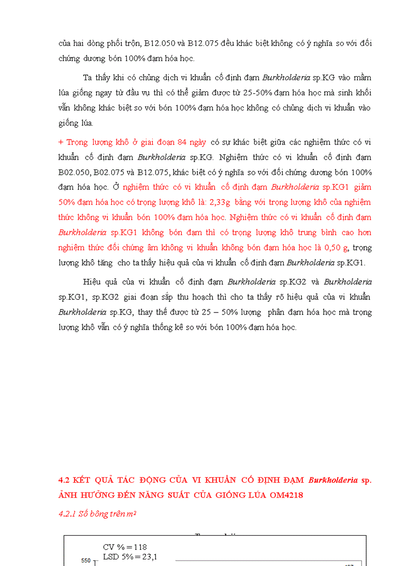 image for page Hiệu quả của vi khuẩn cố định đạm Burkholderia sp trên cây lúa cao sản trồng ở Hậu Giang