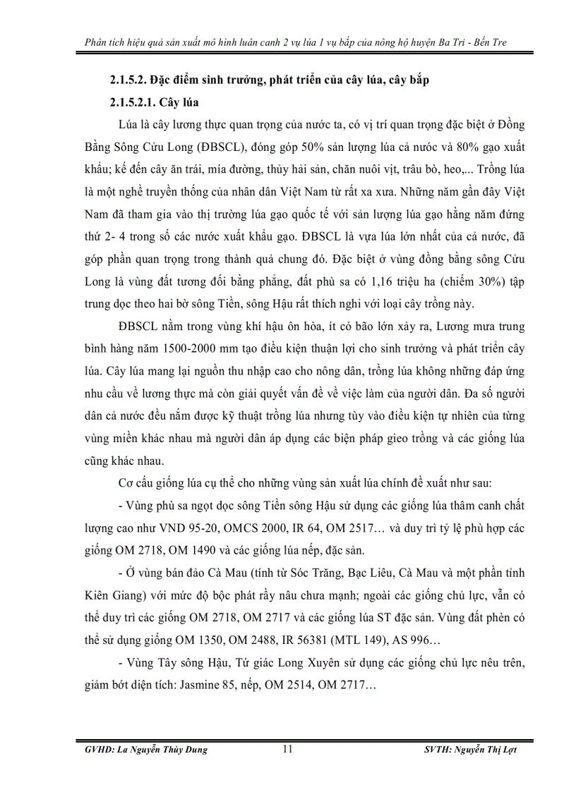 image for page Phân tích hiệu quả sản xuất mô hình luân canh 2 vụ lúa 1 vụ bắp của nông hộ huyện ba tri bến tre