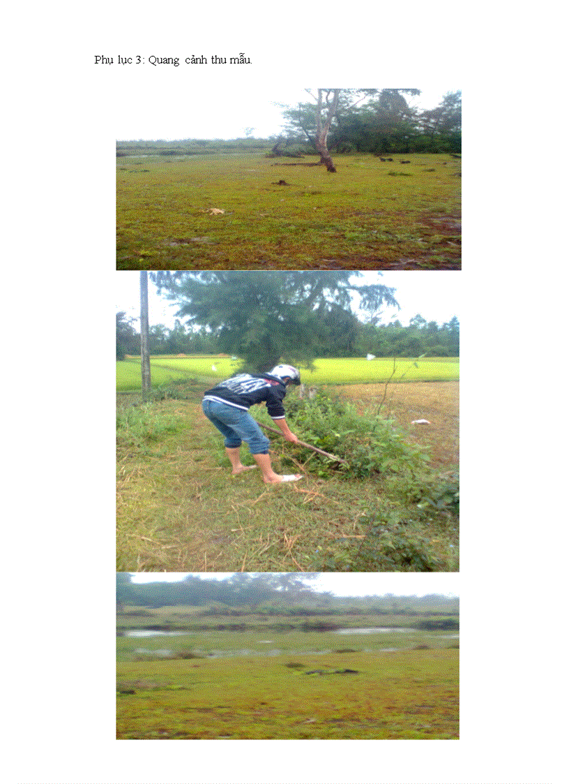 image for page Nghiên cứu sự tích lũy kim loại nặng Pb As trong đất và trong một số loài giun đất ở khu Kinh Tế Mở Chu Lai Huyện Núi Thành Tỉnh Quảng Nam