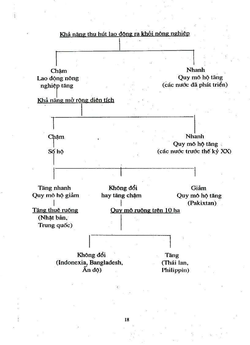 image for page Kinh tế hộ nông dân và tổ chức hợp tác sơ cở
