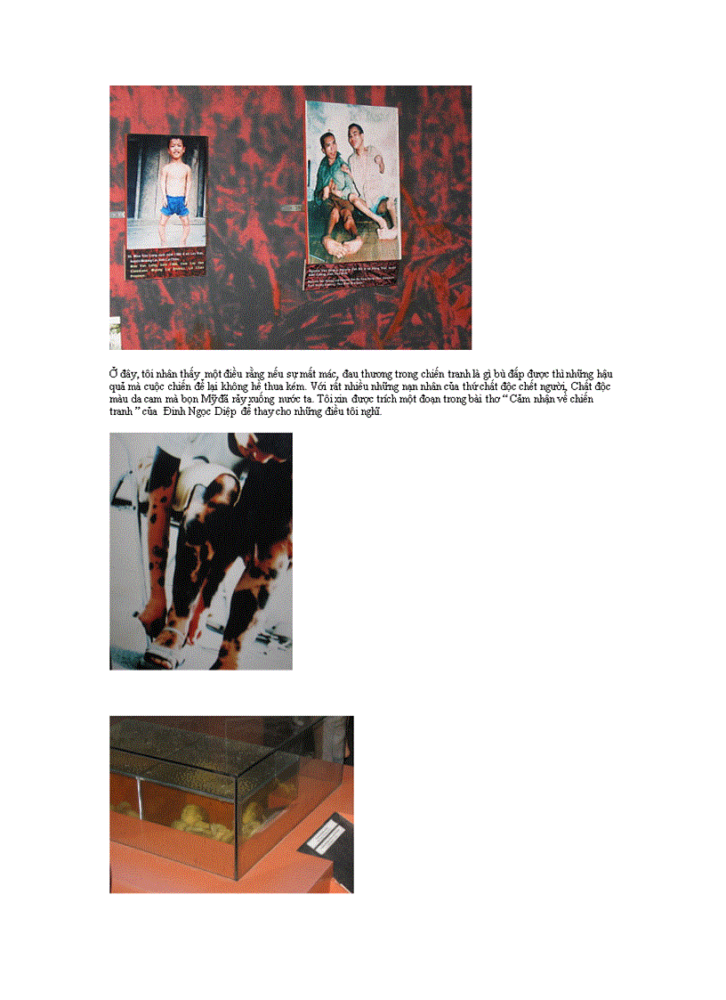 image for page Cảm nhận sau chuyến tham quan thực tế tại Qảo Tàng Chứng Tích Chiến Tranh