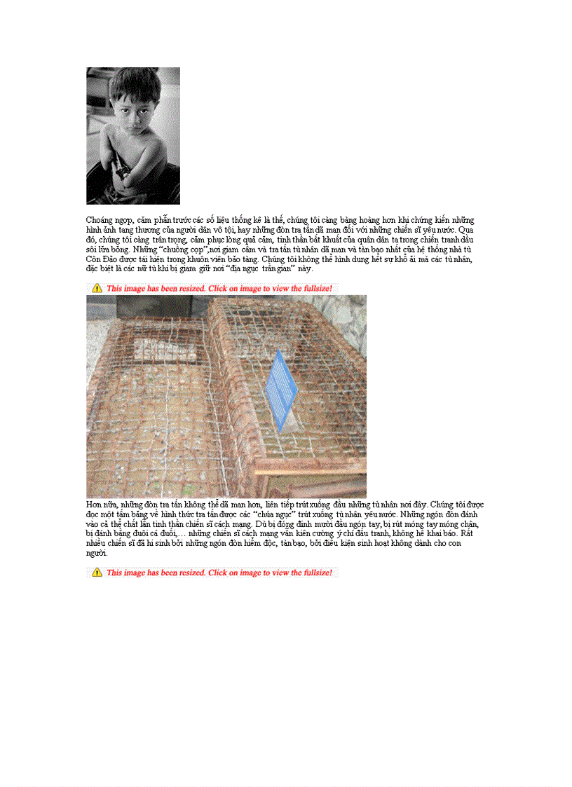 image for page Cảm nhận sau chuyến tham quan thực tế tại Qảo Tàng Chứng Tích Chiến Tranh