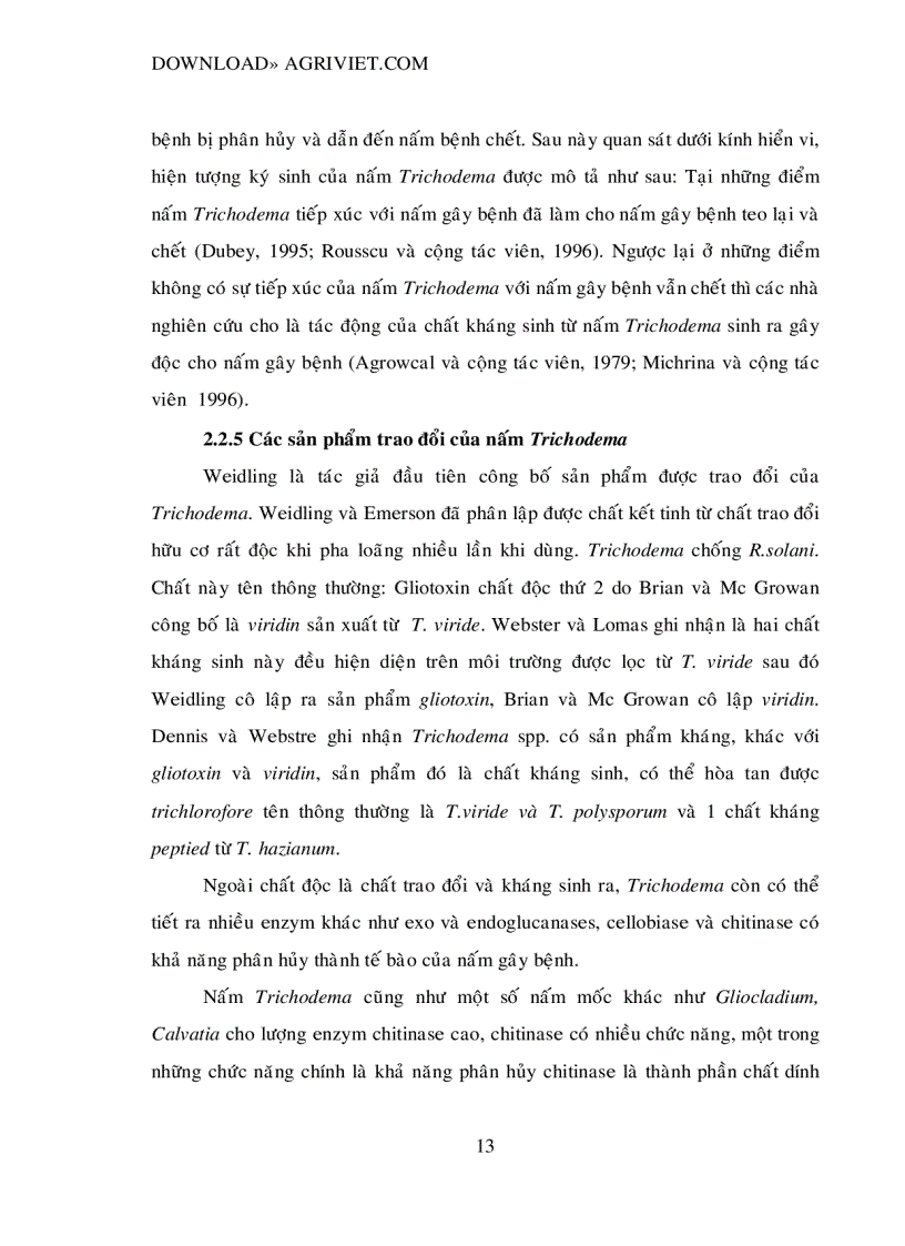 image for page Chọn lọc và nhân sinh khối nấm Trichoderma phần