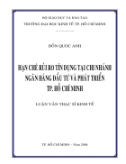 Hạn chế rủi ro tín dụng tại chi nhánh ngân hàng đầu tư và phát triển thành phố hồ chí minh