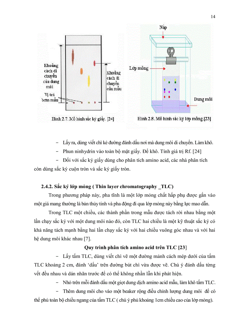 image for page Nuôi trồng và xác định thành phần amino acid của một số loài nấm bào ngư Pleurotus spp bằng kỹ thuật sắc ký lỏng cao áp HPLC