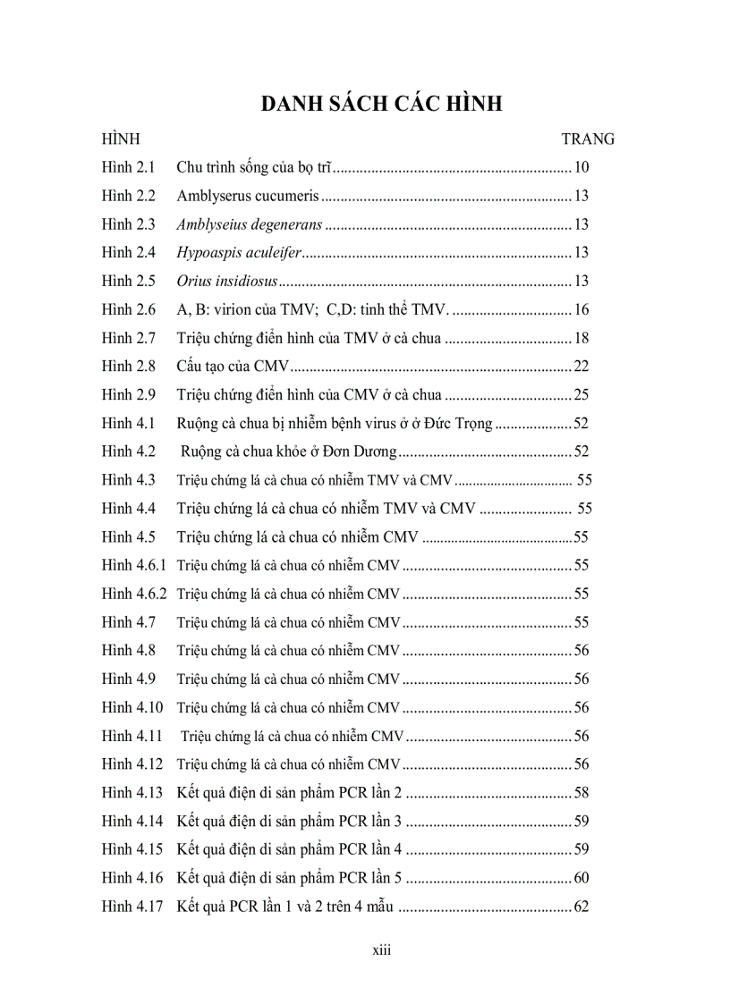 image for page Đánh giá tình trạng nhiễm bệnh virus Cucumber Mosaic Virus Tobacco Mosaic Virus và Tomato Spotted Wilt Virus trên cà chua Solanum lycopersicum ở tỉnh Lâm Đồng bằng kỹ thuật ELISA và bước đầu xây dựng quy trì