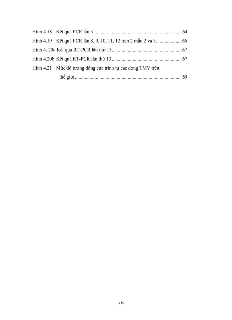 image for page Đánh giá tình trạng nhiễm bệnh virus Cucumber Mosaic Virus Tobacco Mosaic Virus và Tomato Spotted Wilt Virus trên cà chua Solanum lycopersicum ở tỉnh Lâm Đồng bằng kỹ thuật ELISA và bước đầu xây dựng quy trì