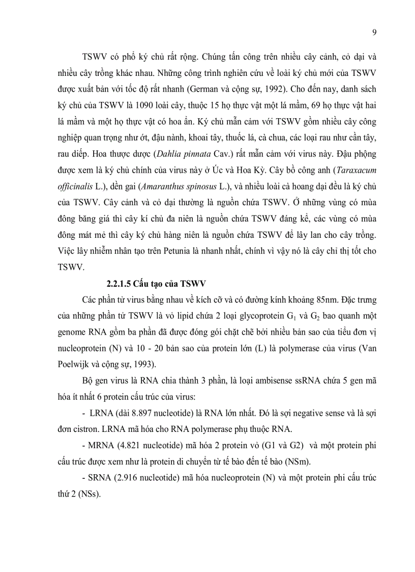 image for page Đánh giá tình trạng nhiễm bệnh virus Cucumber Mosaic Virus Tobacco Mosaic Virus và Tomato Spotted Wilt Virus trên cà chua Solanum lycopersicum ở tỉnh Lâm Đồng bằng kỹ thuật ELISA và bước đầu xây dựng quy trì