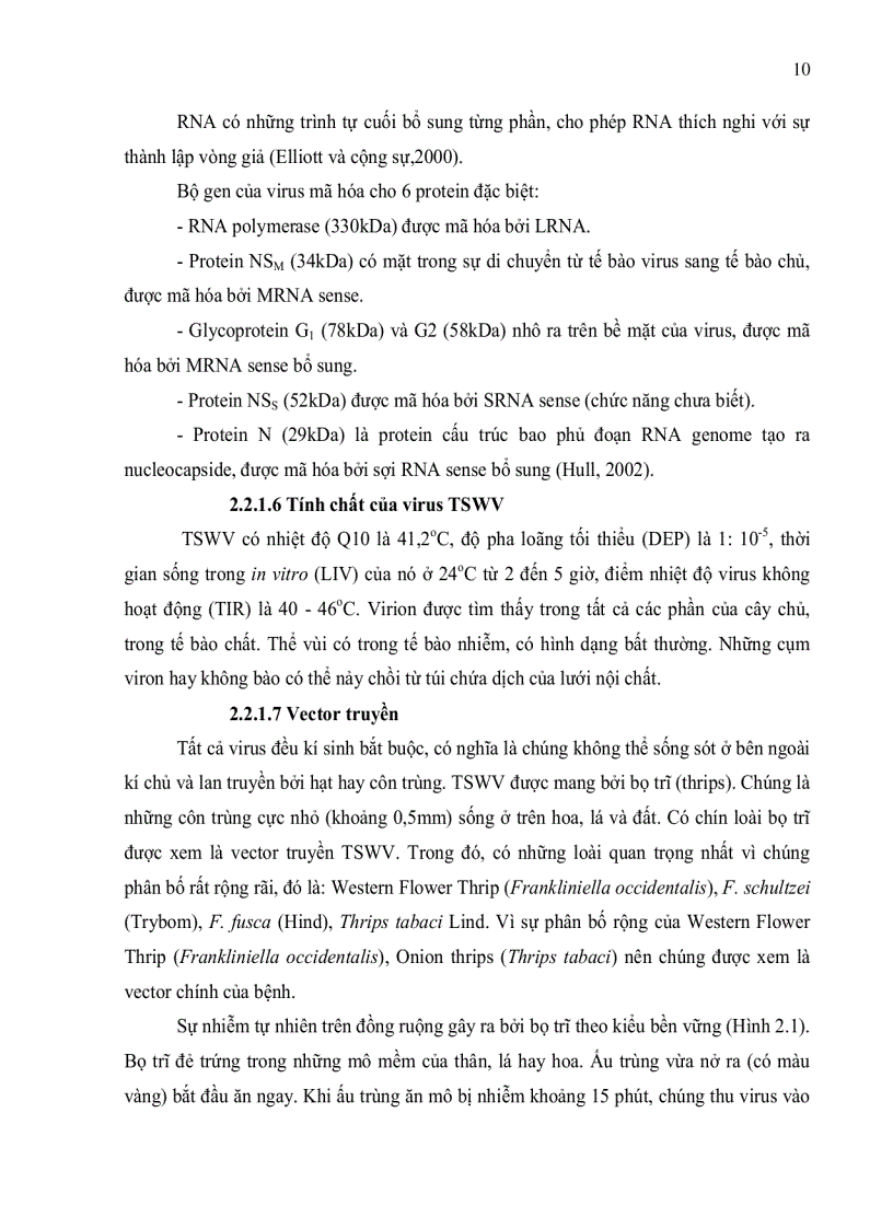 image for page Đánh giá tình trạng nhiễm bệnh virus Cucumber Mosaic Virus Tobacco Mosaic Virus và Tomato Spotted Wilt Virus trên cà chua Solanum lycopersicum ở tỉnh Lâm Đồng bằng kỹ thuật ELISA và bước đầu xây dựng quy trì