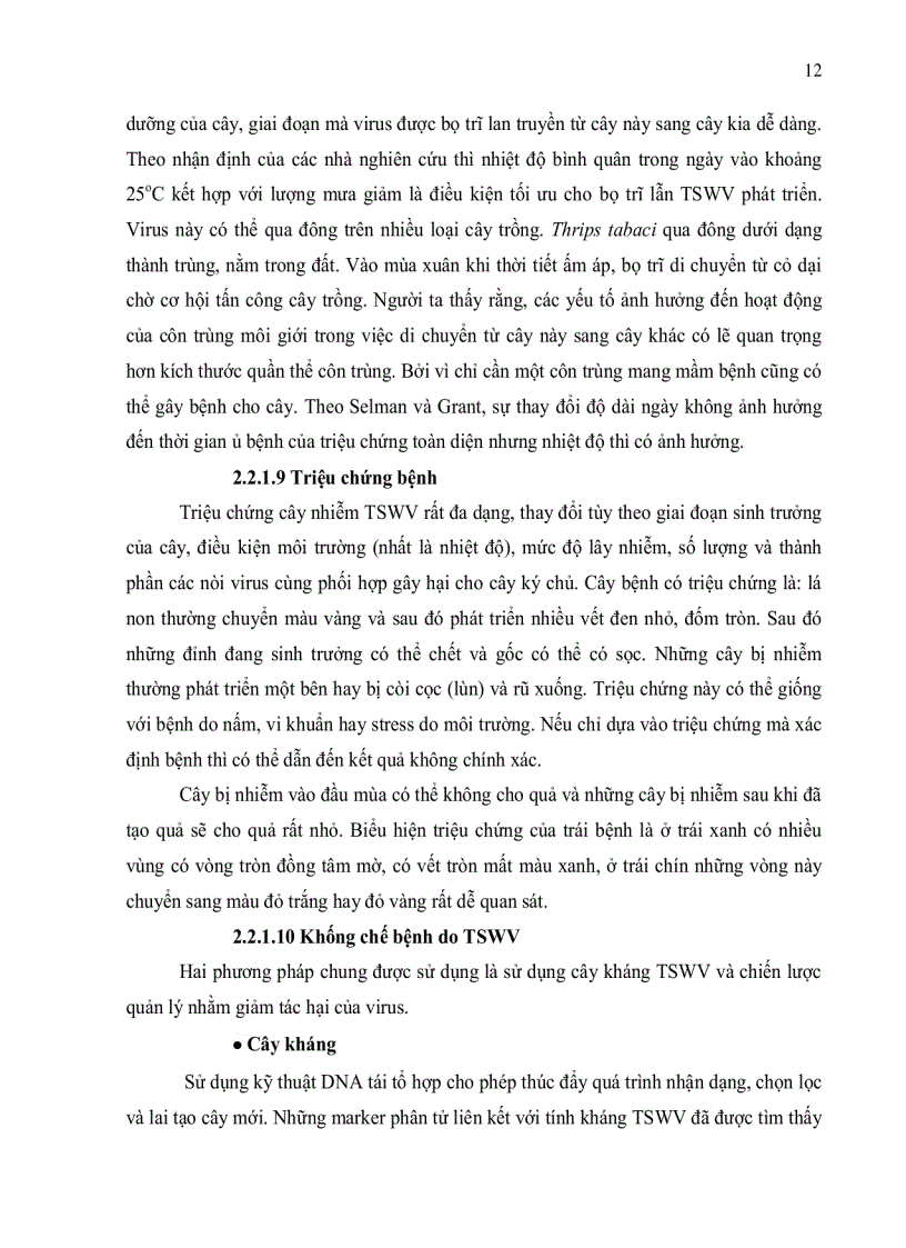 image for page Đánh giá tình trạng nhiễm bệnh virus Cucumber Mosaic Virus Tobacco Mosaic Virus và Tomato Spotted Wilt Virus trên cà chua Solanum lycopersicum ở tỉnh Lâm Đồng bằng kỹ thuật ELISA và bước đầu xây dựng quy trì