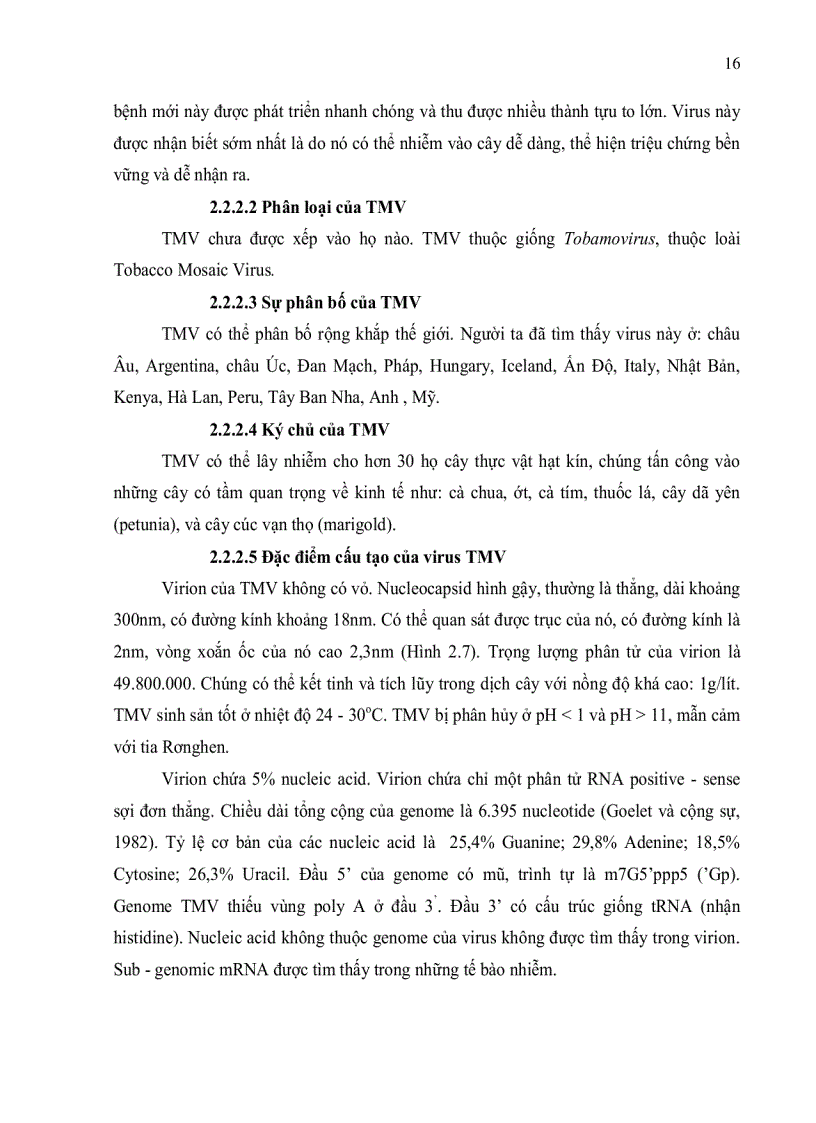 image for page Đánh giá tình trạng nhiễm bệnh virus Cucumber Mosaic Virus Tobacco Mosaic Virus và Tomato Spotted Wilt Virus trên cà chua Solanum lycopersicum ở tỉnh Lâm Đồng bằng kỹ thuật ELISA và bước đầu xây dựng quy trì