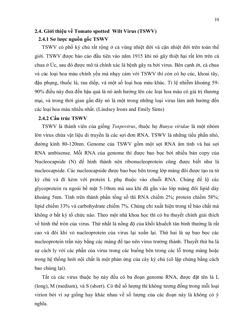 image for page Nghiên cứu hiện trạng nhiễm bệnh TSWV trên cây ớt bằng kỹ thuật ELISA và bước đầu xây dựng phương pháp chẩn đoán bằng kỹ thuật RT PCR