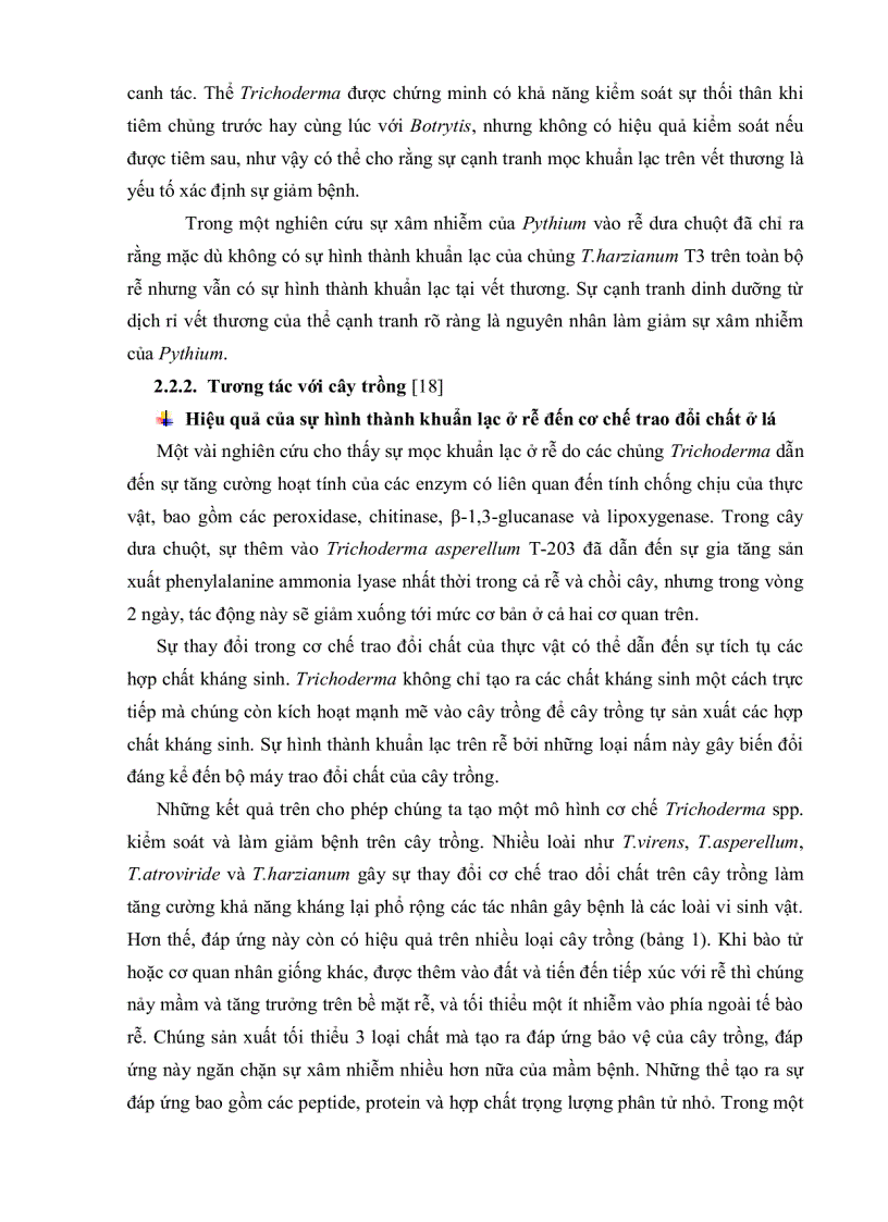 image for page Bước đầu khảo sát mối liên hệ giữa sự hiện diện Trichoderma và các yếu tố của đất