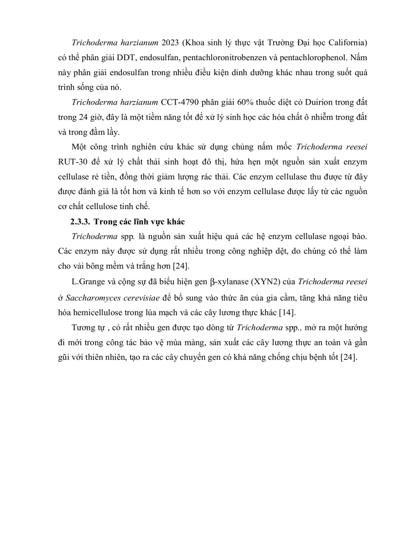 image for page Bước đầu khảo sát mối liên hệ giữa sự hiện diện Trichoderma và các yếu tố của đất