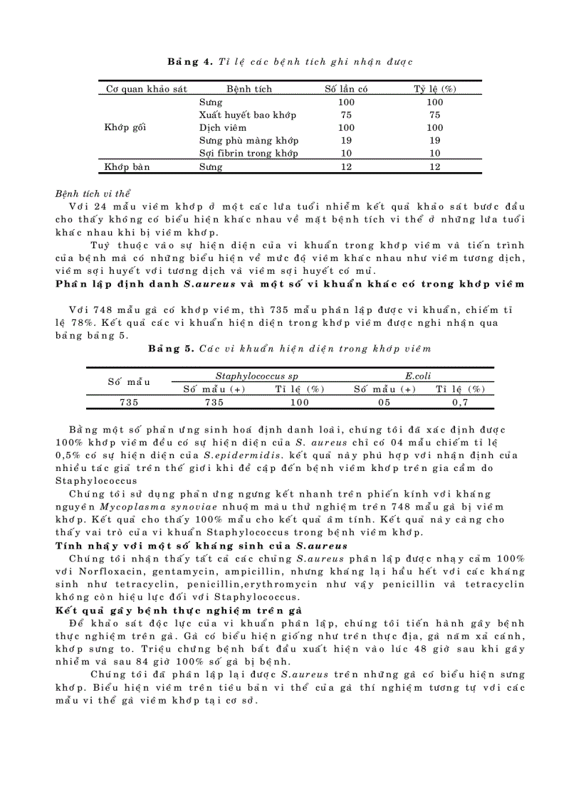 image for page Bệnh viêm khớp do staphylococcus trên đàn gà giống thịt Arbor acres AA