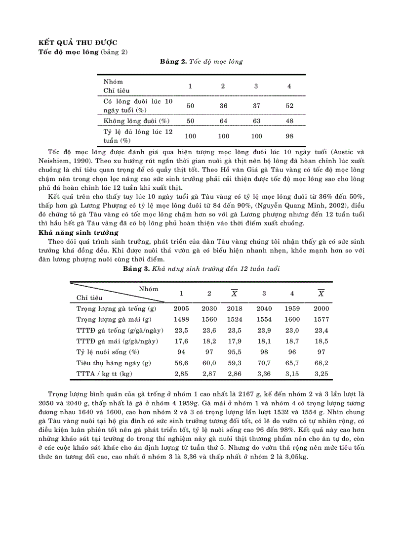 image for page Khảo sát khả năng sản xuất thịt của gà tàu vàng nuôi tại bà rịa vũng tàu