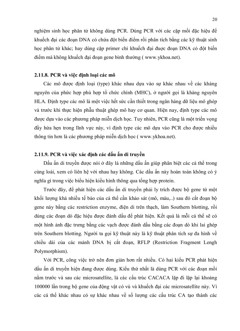 image for page Bước đầu đánh giá mức độ đa dạng di truyền của quần thể điều Anacardium occidental L tại tỉnh bà rịa vũng tàu bằng kỹ thuật rapd và aflp